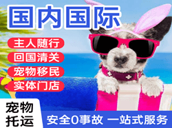 中川空运国际宠物托运 【国